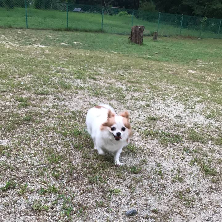 47919873 c04c 47e0 bcfc b91be339122c 1565513040362