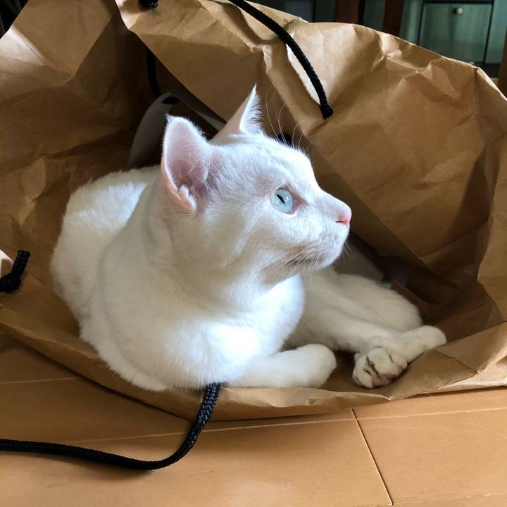 4791a562 a02d 41f1 b673 6b84d1a4782d 1593928516208