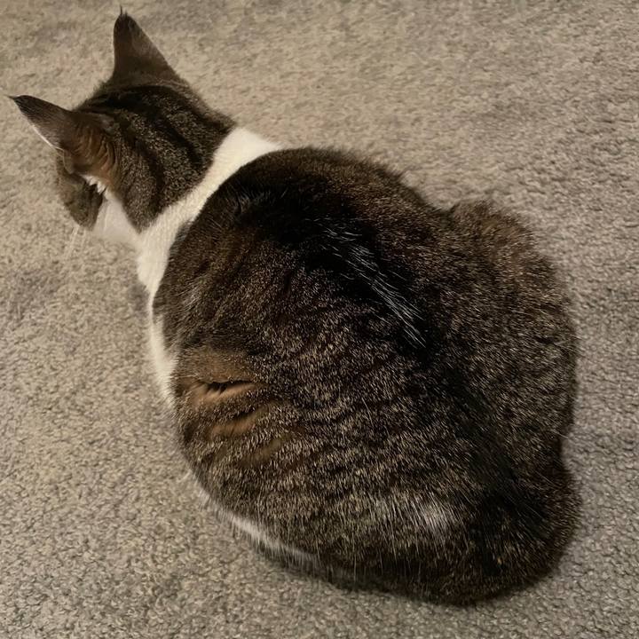 4791b650 f6b3 4fe6 99c7 57828ebdbf98 1733019261667