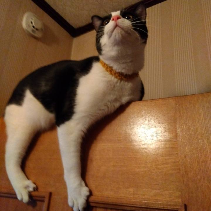 4791c308 3578 4fb8 bc9b 68214f61039a 1646947765417