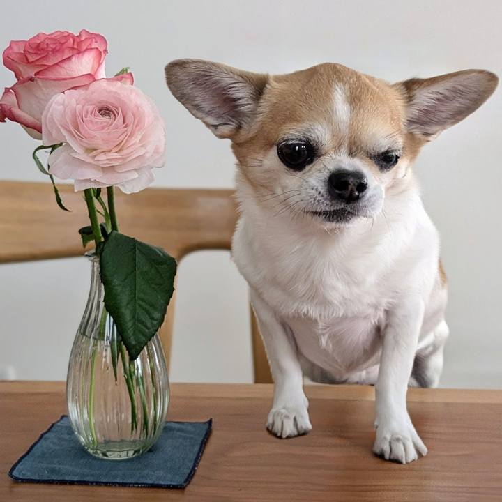 4791d9a5 066c 4fc7 a29e d5a78cb29cdf 1772774706353