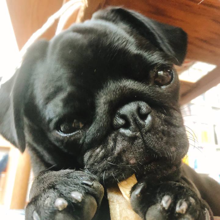 4791f518 312b 4308 b498 16e1bc5bfda7 1602161312041