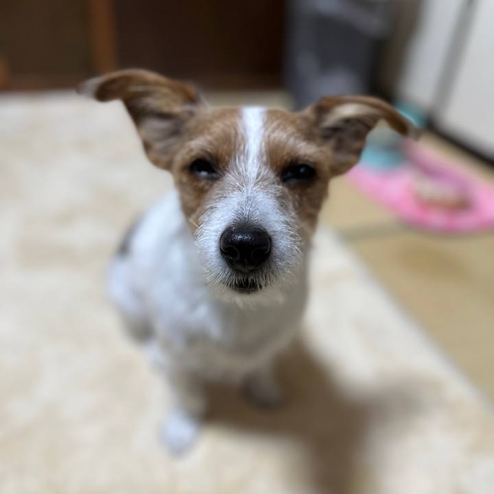 47921290 45b0 4d1a aa0c 62ba2fcfad09 1763414619270