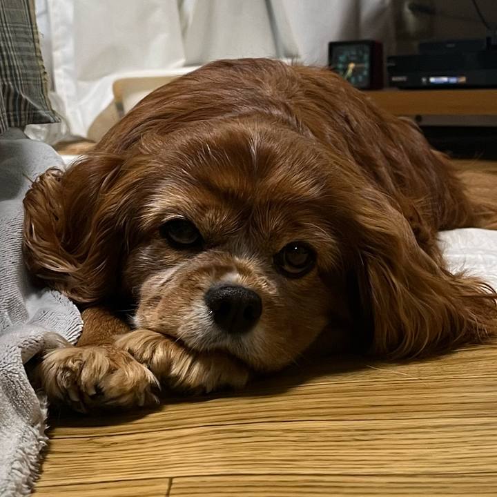 47927066 6cfc 44fc a35f 656b2a00ad12 1736375549414