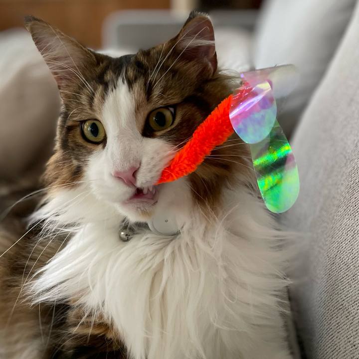 479291c4 789f 453e 8aa8 16fd0b8d27e2 1657145274869