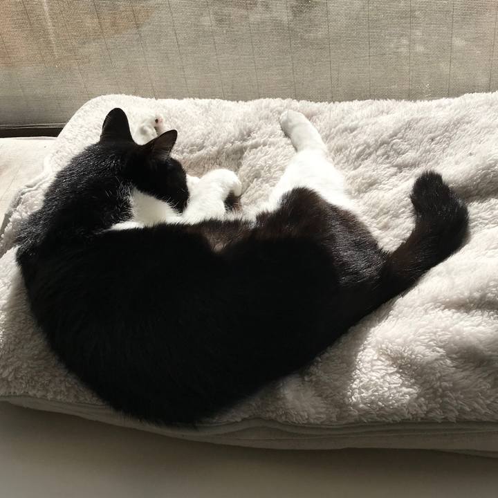 4792b5e8 cd08 487b a2f4 3cf440c26693 1515648284843