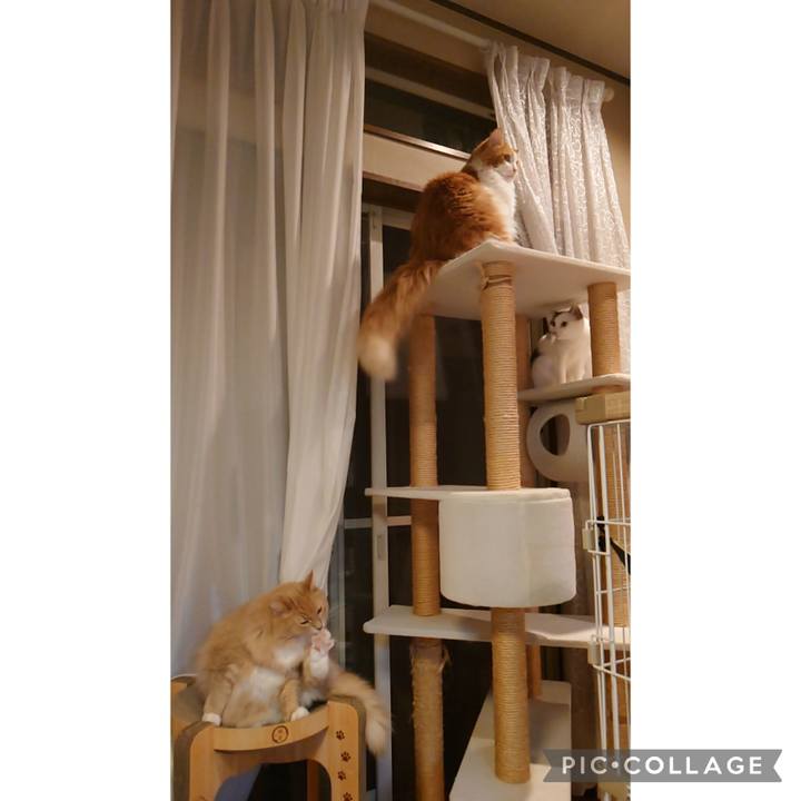 4792daca 9af0 4502 834c 6ee882d9b1c5 1698153377249