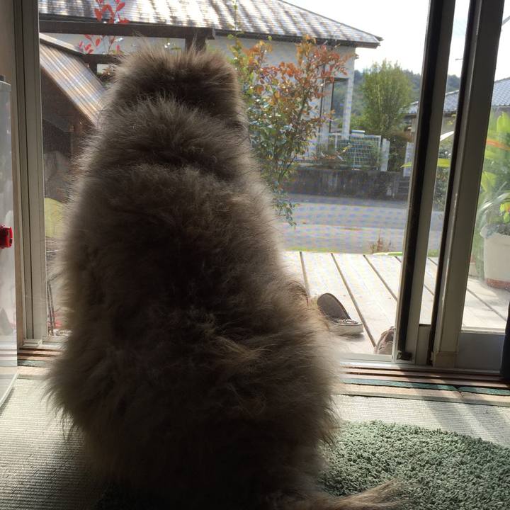 47932a59 5bad 4c63 8e57 9746788a907a 1606018881586