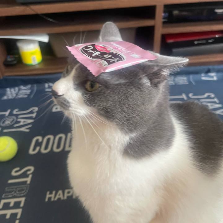 47932ea8 3381 4d9b 9c1c 1370f137b1ed 1720838895598