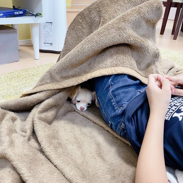 479339ac 67f6 42b2 b5e6 57d2a7811936 1593176248331