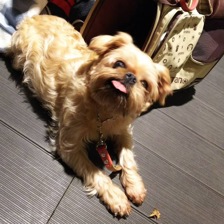 47933ad7 cd33 4d24 a988 93ce485e1085 1509618360528