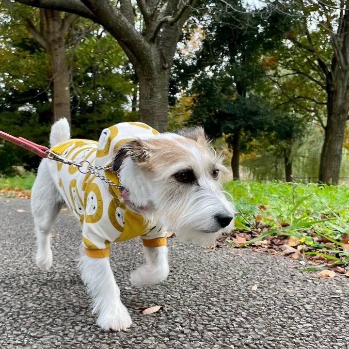 47938b16 a4f0 43d7 9164 cba1894e5168 1668320297180