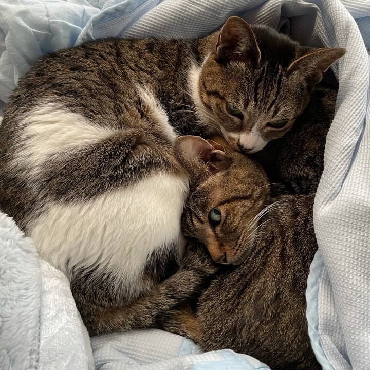 4793a75c 234a 4798 b882 dad46c4a142a 1607473861231