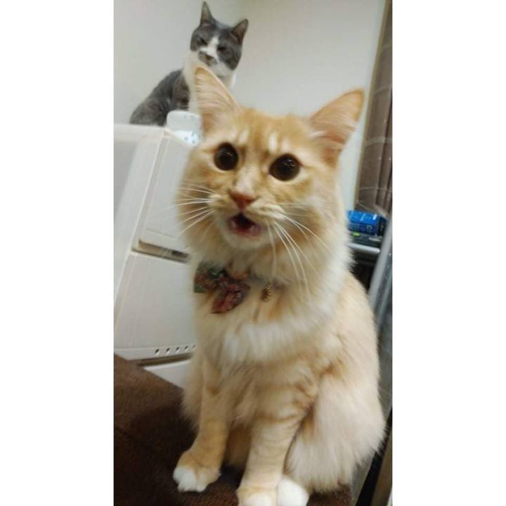 4793aa30 9e1d 41bc 9da9 a455a2c2b36f 1645099276433