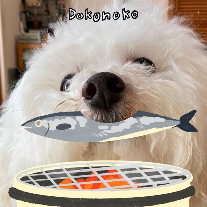 4793bc65 dc41 4416 90b3 81a21400e673 1761220222530