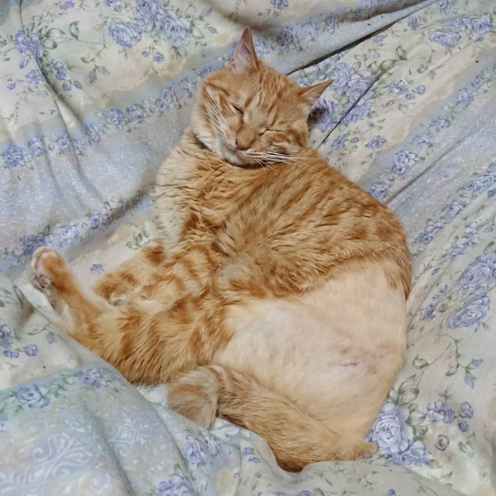 47941acc d4c7 4a87 85ad 1b3c3541b13b 1655122415106