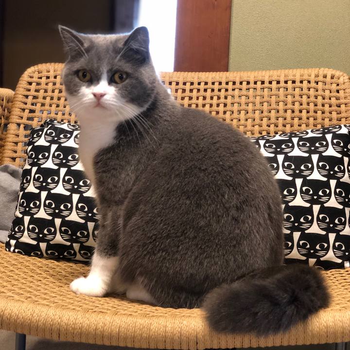 47942539 45ea 478b a652 bc8e8bcb3082 1569296064019