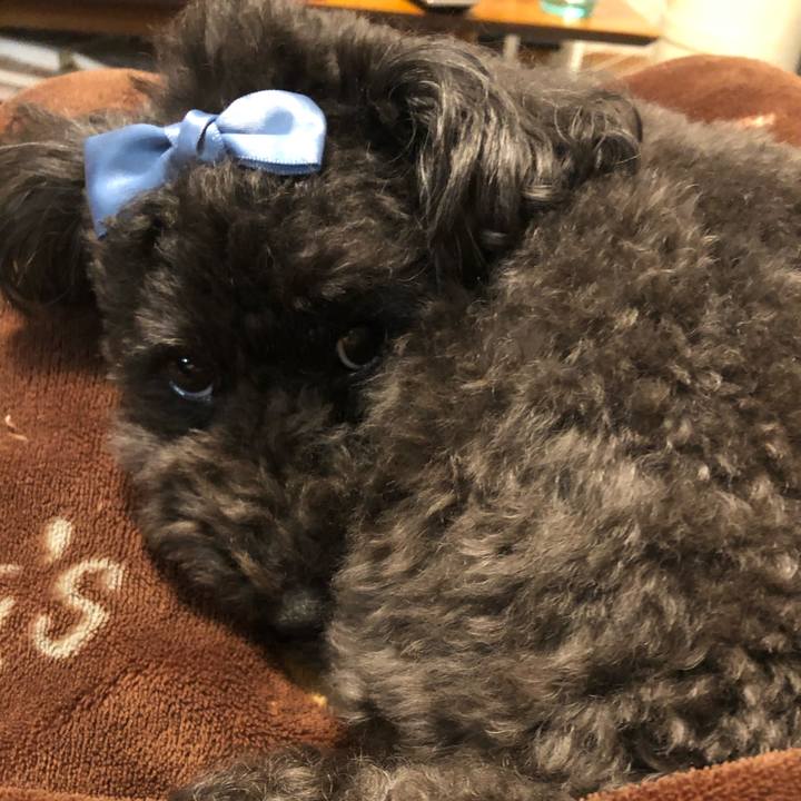 47943aee d922 4d9d b66b a03b46d3ecdb 1616419449386