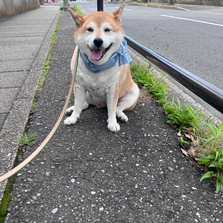 47945265 6bad 473f 958b e1e4b1db90ea 1721261490601