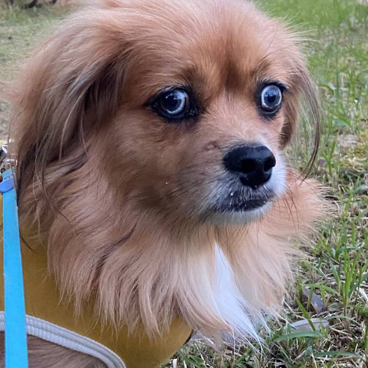 47945ce1 cd99 4404 8410 3bee5666409e 1636925498744