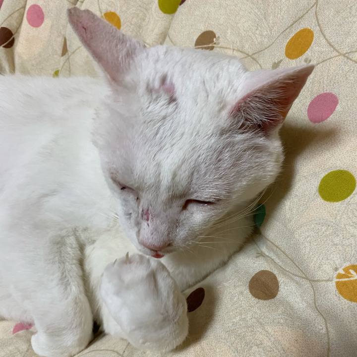 47945f96 a00a 47ea b1c4 367929a4a0d6 1623339288972