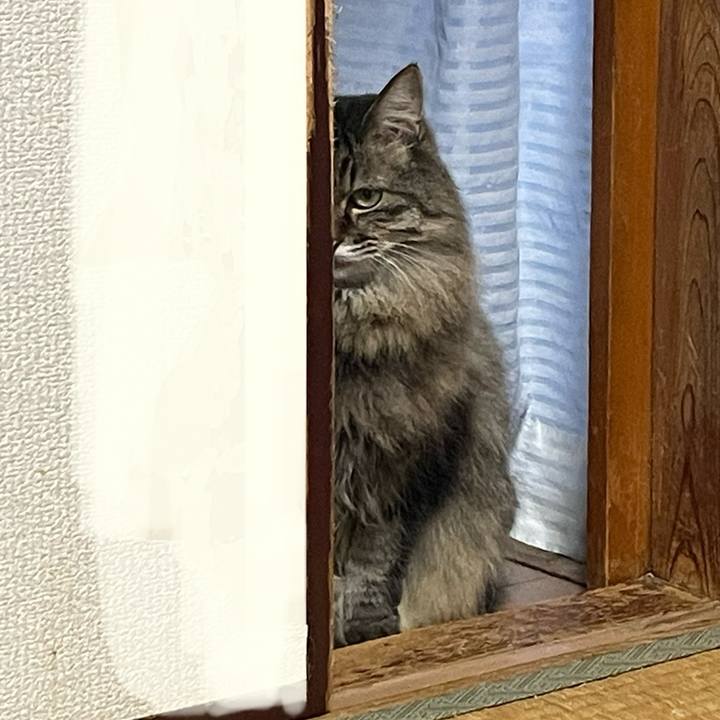 4794749a 87f8 42de b76b f236abcd440a 1767706930168