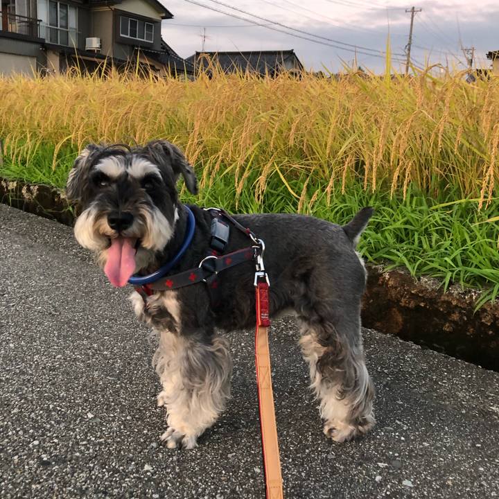 47948a1d bb49 4a5f 9821 21a44cc9111e 1662985817838