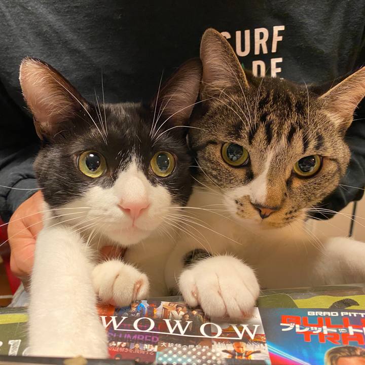 4794b19c a209 41c3 8885 cffaedf56415 1697210512922