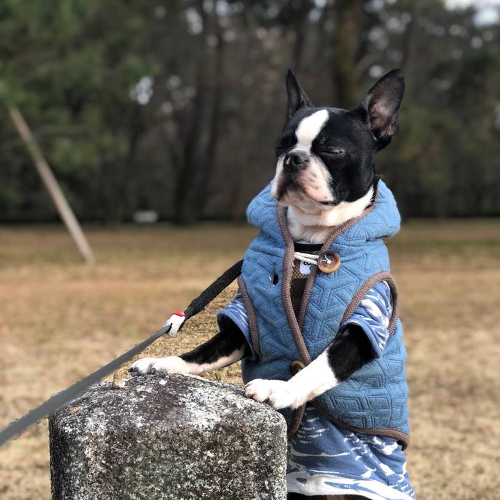 47951922 ef4f 421f bacc 6fac43ee2fbd 1518244279487