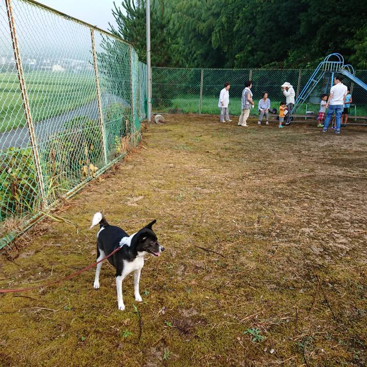 47954225 46b3 42e9 8e19 26155a839903 1533250428046