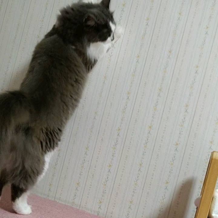 47957e9e 05f5 4bf1 94c7 5235d23ec18f 1594294973691