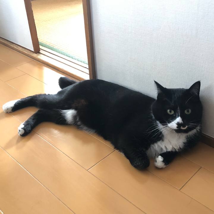 4795f4ba 24a0 41bf b207 81e249ef9fe1 1650597861557