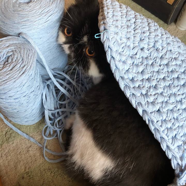 479646f5 da6c 4953 8905 4a6dcbdb7c68 1598099220371