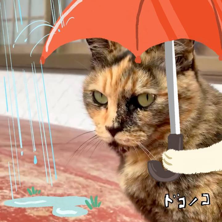 47964eab d8bb 4464 a199 cd09f5bfe35b 1749090056034