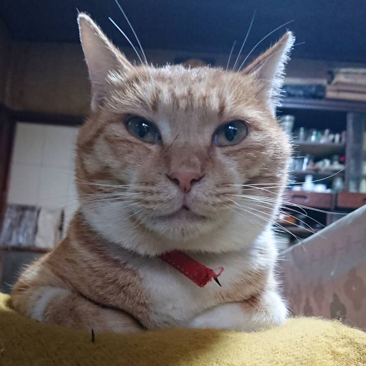 47964f4e 3c07 4ae8 bb37 f68cb6a2ca79 1573339341733