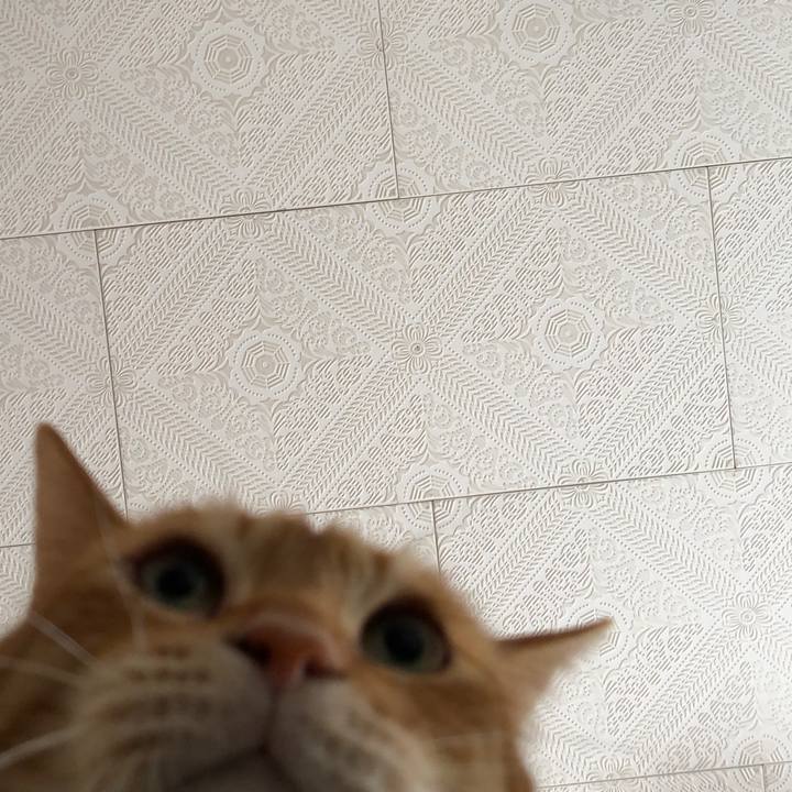 479664e8 cb31 497f b6f7 a6d7d8197d47 1647324710821