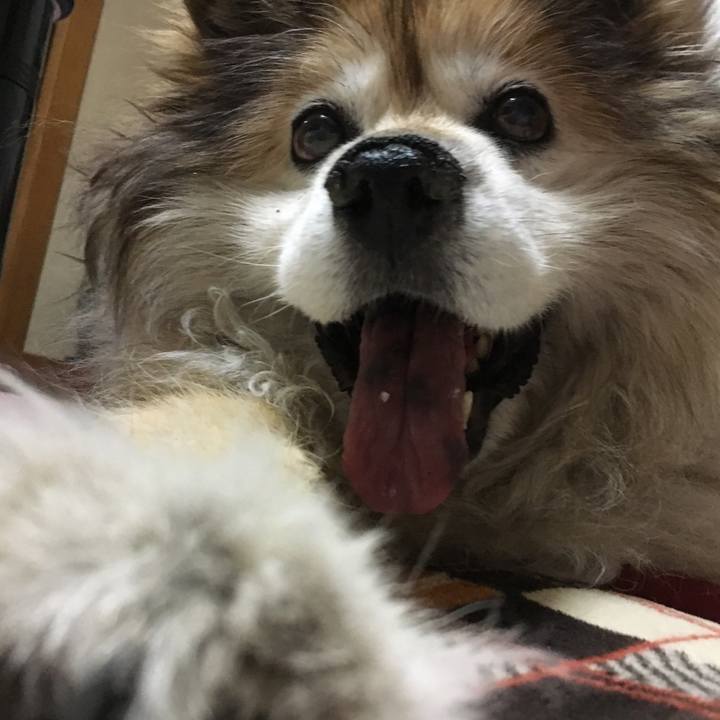 479695cf b74e 4245 9bce 8cbdb162c5e1 1558962334017