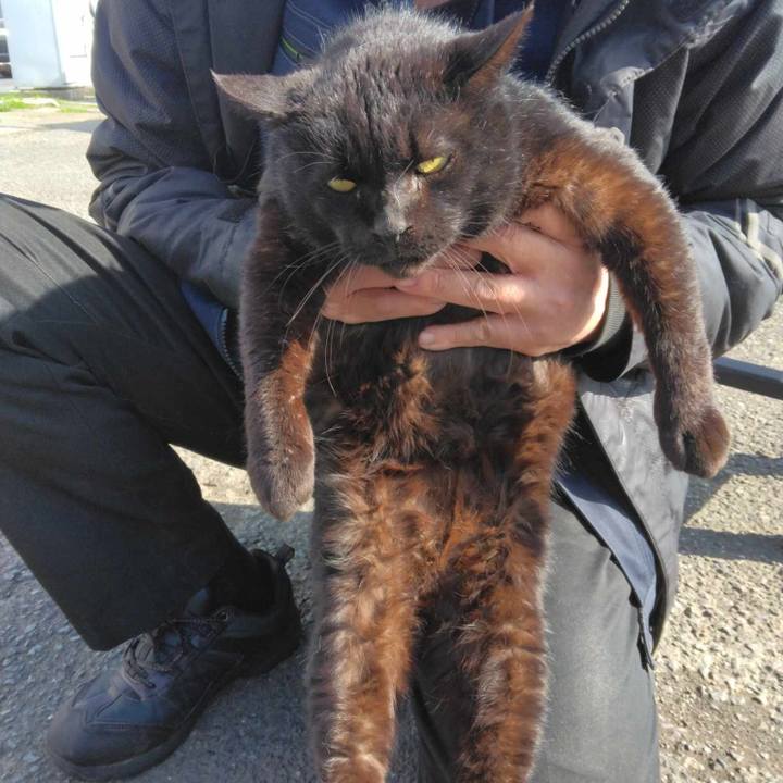 4796a84a e478 4ecb 9f8e 9eb44444382f 1712017665346