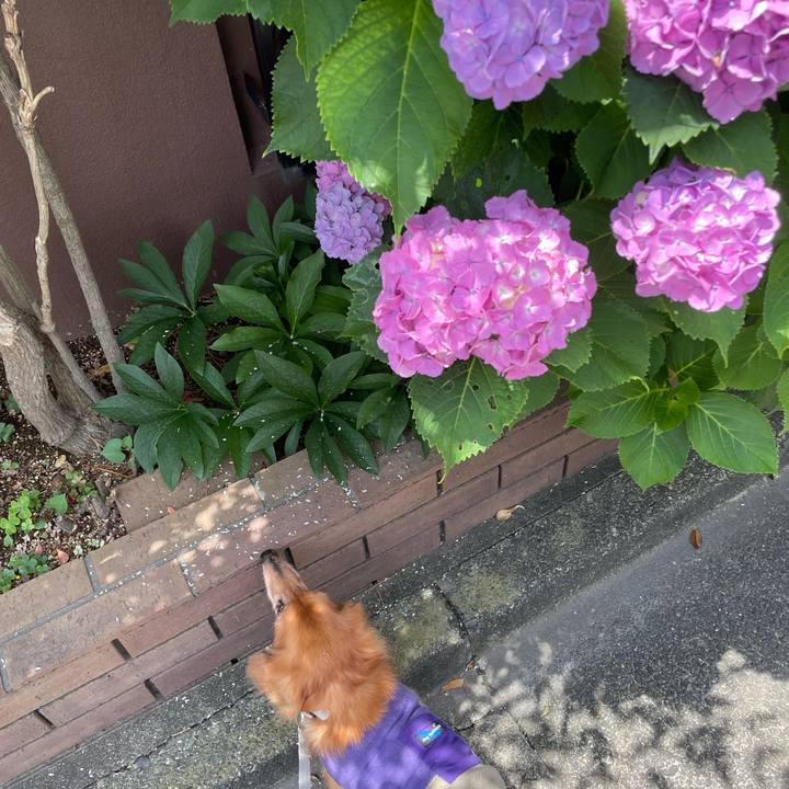 47970abd 7fb9 4deb ba5c c3b773f6cacd 1686134794175