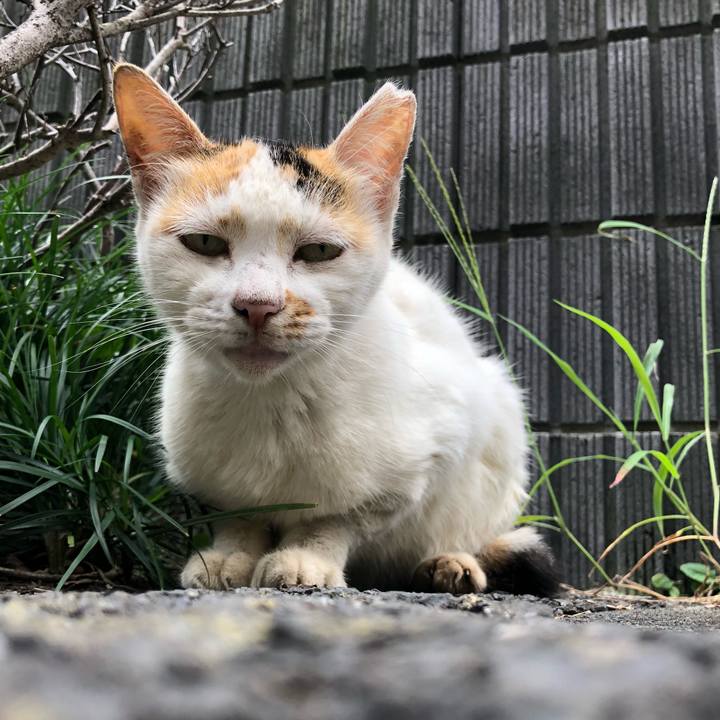 47971249 a476 4f6b bdc6 7619d6a11480 1633431258480