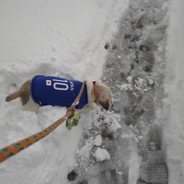 4797379b cec6 422c af25 fb2cba5cf72f 1738753505666