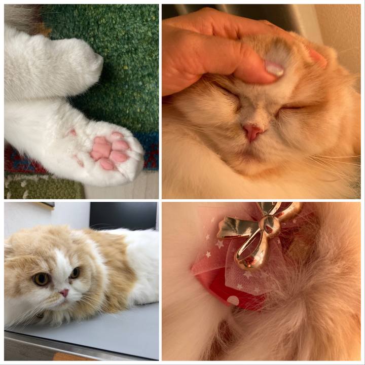 47976d8e b34a 4809 a7f7 4e10fee5fc54 1629506016497