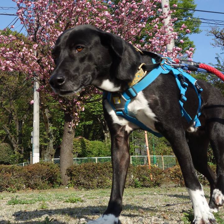 47978303 0c2d 4f4b 80fa c71546ae4739 1617929335975