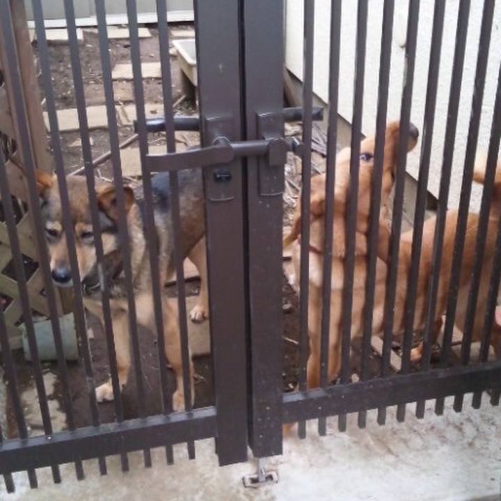 4797cf15 d386 43e3 b689 b6c7a5e3f27a 1523942583875