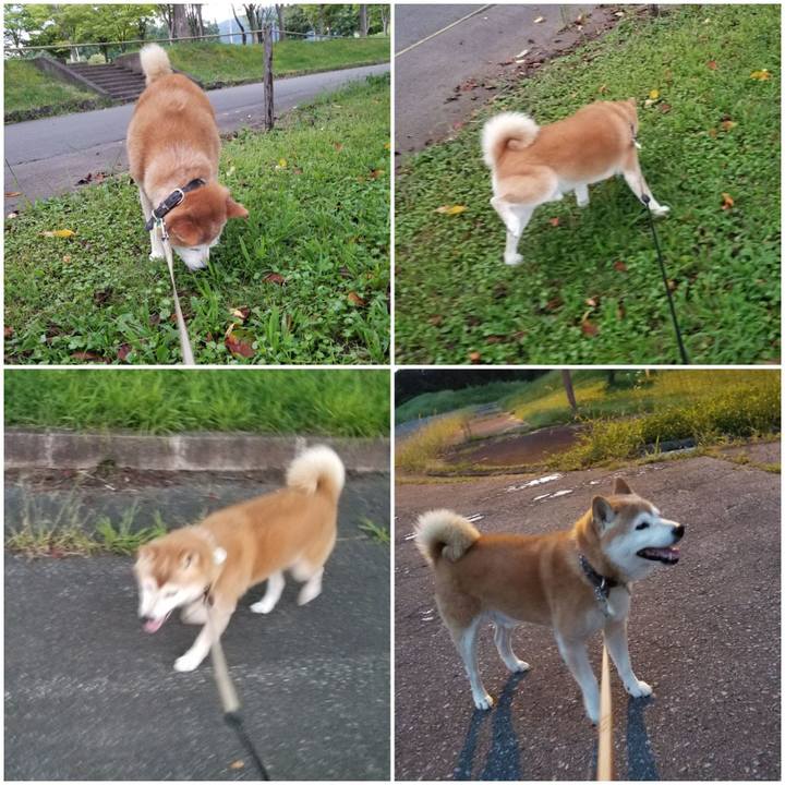 47981f62 321f 40b7 a0f7 b0b2a9d1cef3 1662286492338