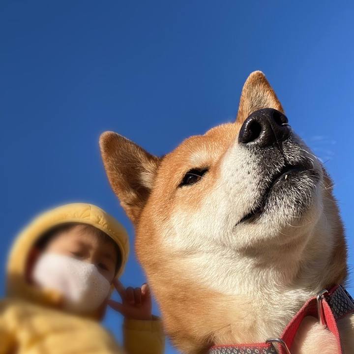 47983238 10df 4ef5 98c3 f8f1191d5d90 1612853975237