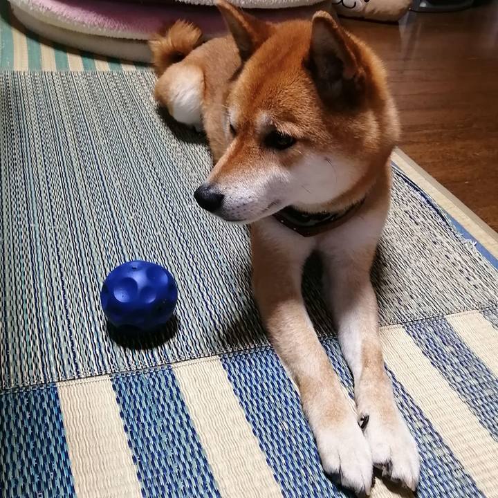 47985def 52cc 423c ba35 ab7564d10ec7 1590580205846