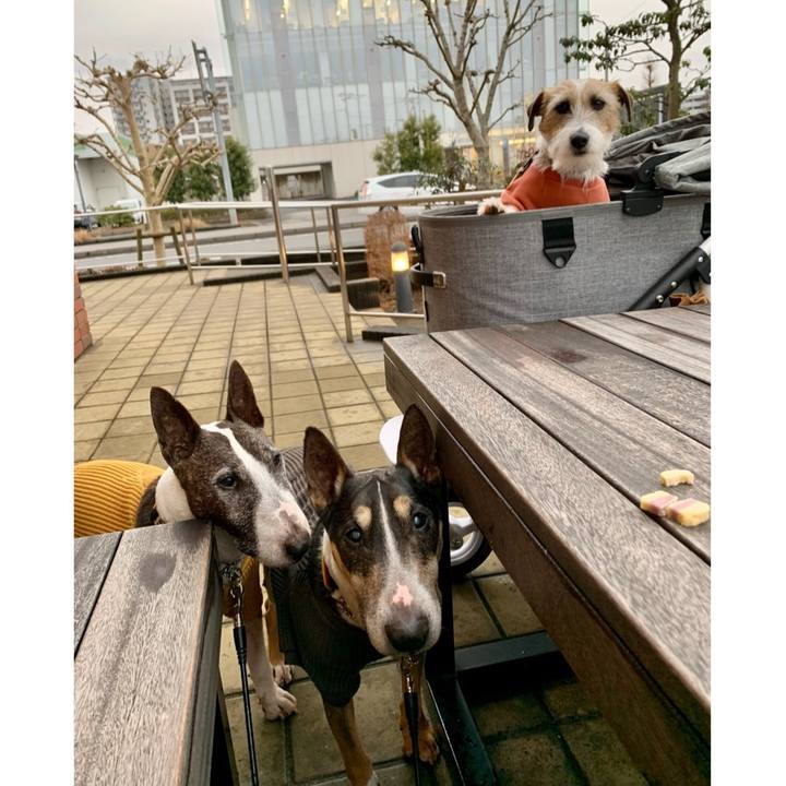 479864d0 87bb 425d 8b17 83d546c30060 1611490383397