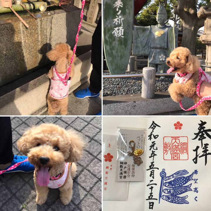 47986cd5 02d3 4a0f 8fc8 eac04773f319 1558847297268