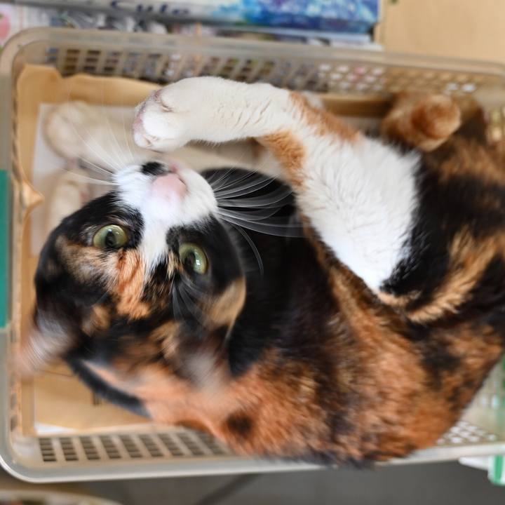 47987ed2 003a 4d50 a7a2 5ee3a4ff9586 1556213026885